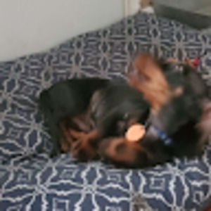 Meet your Posher, Krista